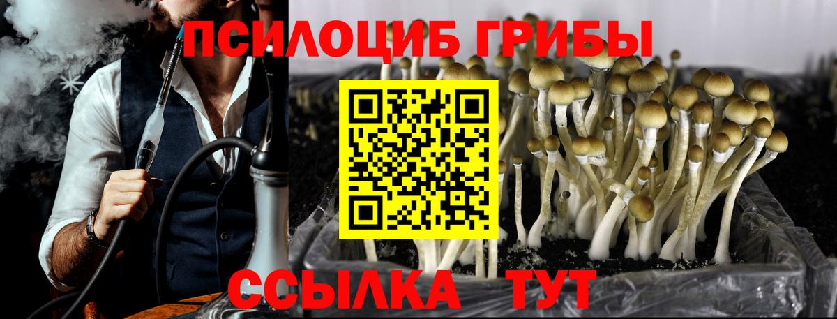 Галлюциногенные грибы прущие грибы  даркнет сайт  Ржев  Вход с VPN 